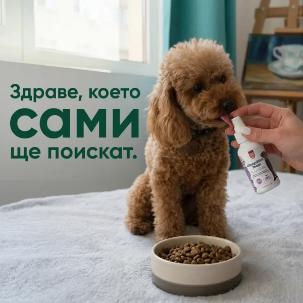 Allergy & Itch Drops - Image 4