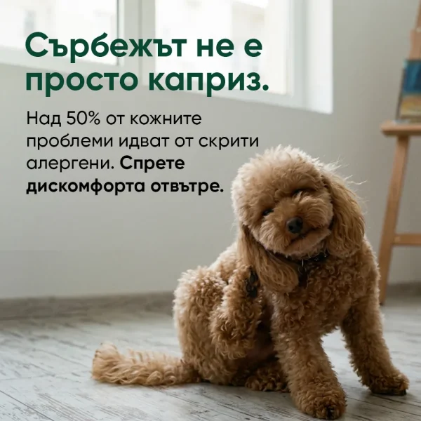 Allergy & Itch Drops - Image 2