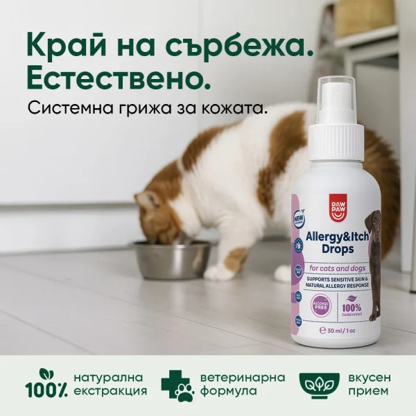 Allergy & Itch Drops - Image 3