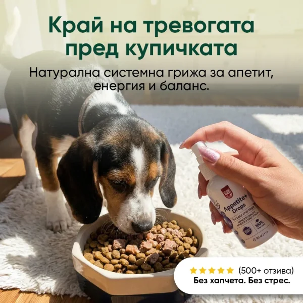 Appetite+ Drops - Image 6