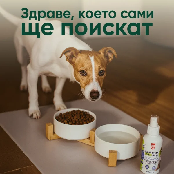 Health Protect 7-in-1 Drops - Image 4