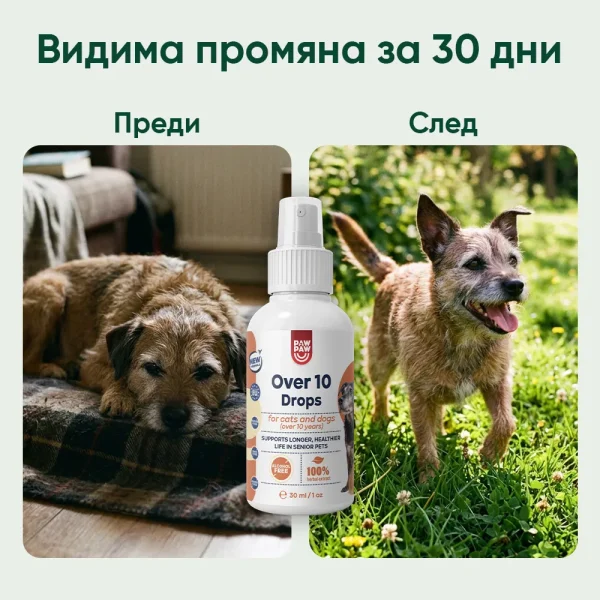 Over 10 Drops - Image 6