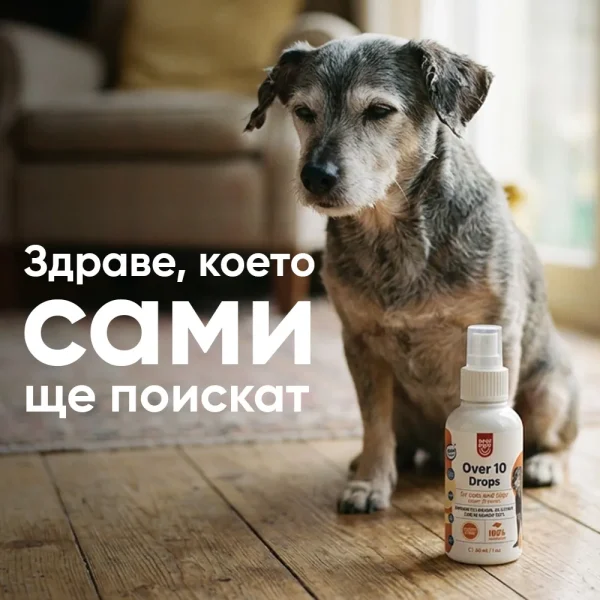 Over 10 Drops - Image 4