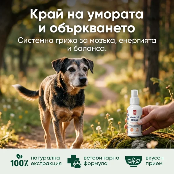 Over 10 Drops - Image 3