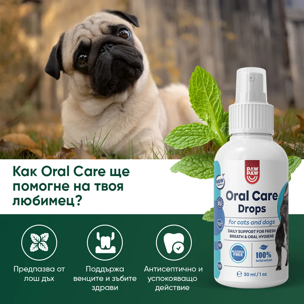 Oral Care Drops - Image 2