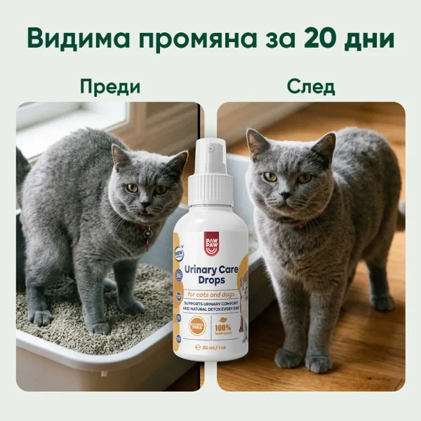 Urinary Care Drops - Image 7