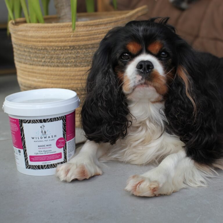WildWash 5-in-1 Magic Mud for Dogs and Cats - Image 3