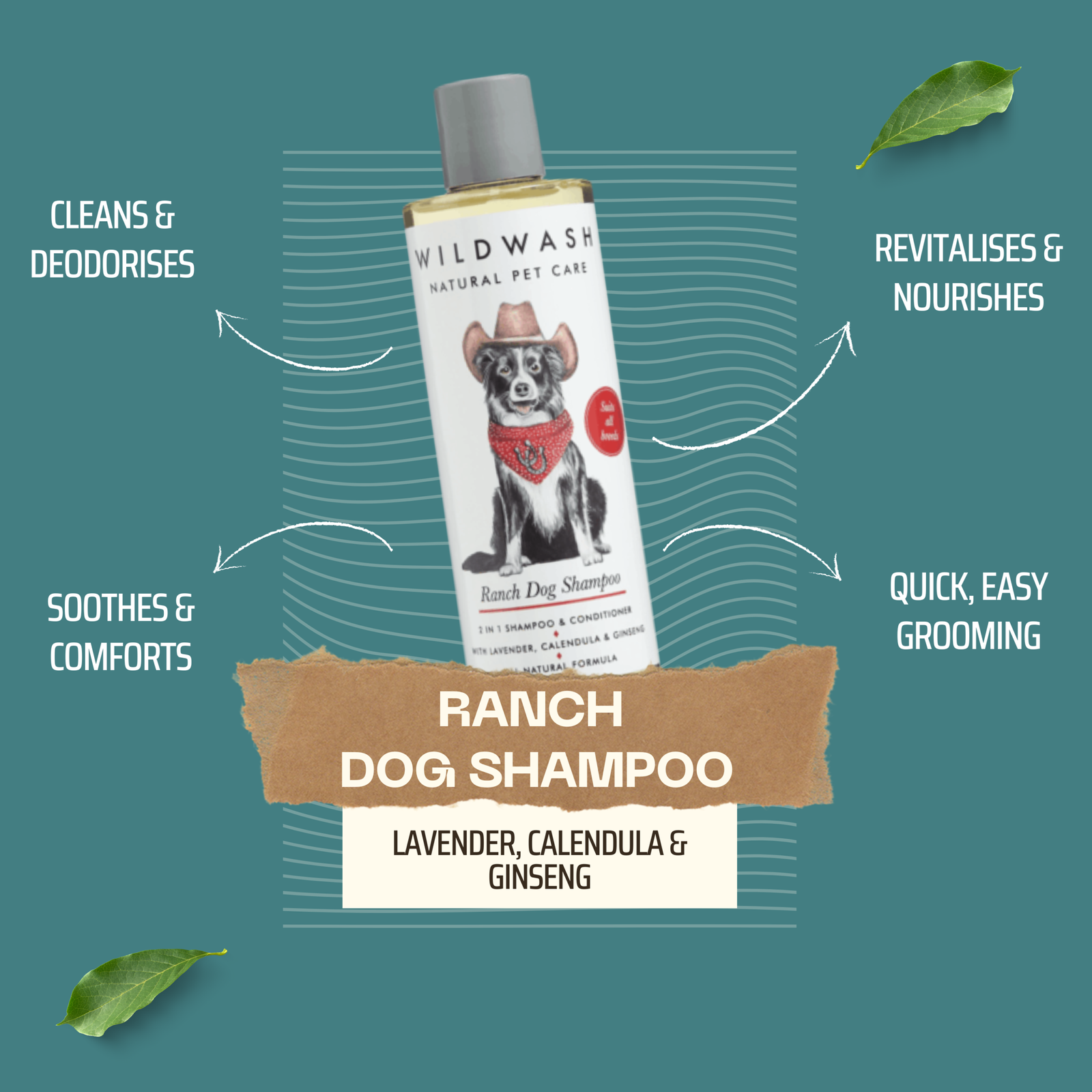 WildWash Ranch Dog Shampoo – 2-in-1 Natural Shampoo & Conditioner - Image 2