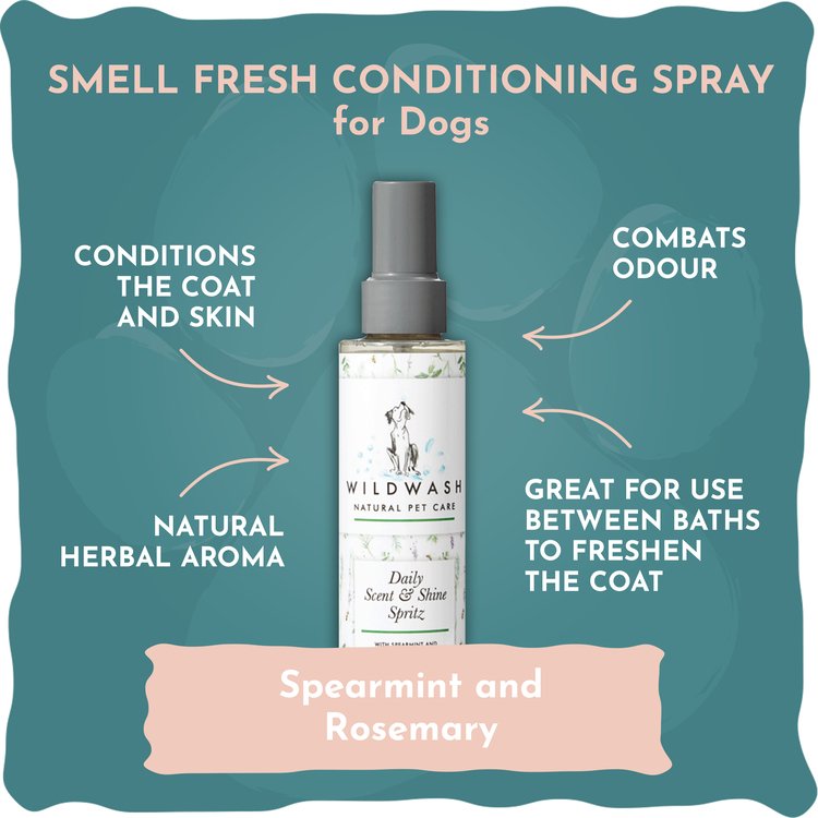 Smell Sweet & Smell Fresh Conditioning Sprays - Image 2
