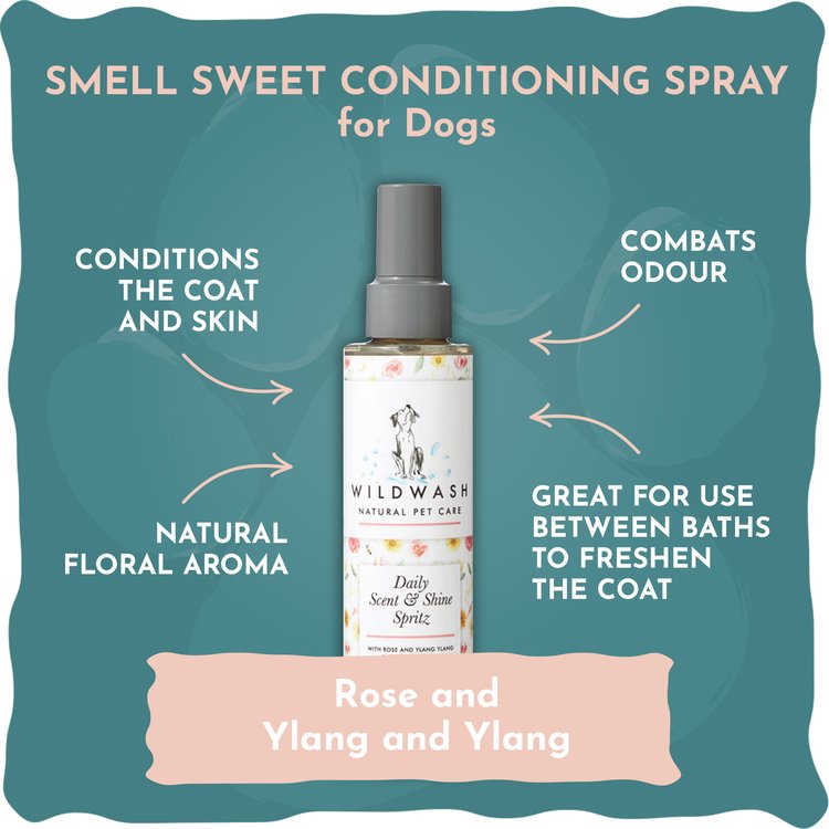 Smell Sweet & Smell Fresh Conditioning Sprays - Image 3
